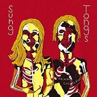 ANIMAL COLLECTIVE - SUNG TONGS ryhmässä CD @ Bengans Skivbutik AB (2547700)