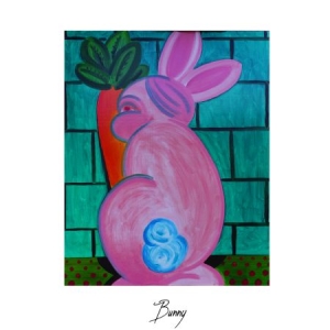 Bunny - Bunny ryhmässä CD @ Bengans Skivbutik AB (2547810)