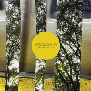 You Blew It! - Keep Doing What You're Doing ryhmässä ME SUOSITTELEMME / Joululahjavinkki: CD @ Bengans Skivbutik AB (2548945)