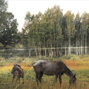 Pianos Become The Teeth - Old Pride ryhmässä CD @ Bengans Skivbutik AB (2549074)