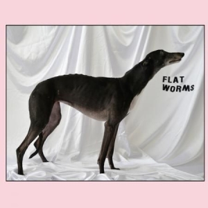 Flat Worms - Flat Worms ryhmässä VINYYLI @ Bengans Skivbutik AB (2553195)