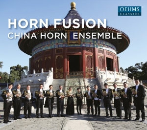 Various - Horn Fusion ryhmässä CD @ Bengans Skivbutik AB (2556733)