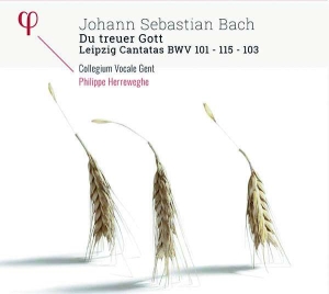 Bach J S - Du Treuer Gott: Leipzig Cantatas Bw ryhmässä CD @ Bengans Skivbutik AB (2590630)