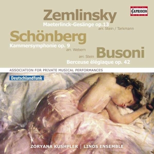 Zemlinsky Alexander Schoenberg A - Orchestral Songs ryhmässä ME SUOSITTELEMME / Joululahjavinkki: CD @ Bengans Skivbutik AB (2607678)