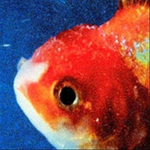 Vince Staples - Big Fish Theory ryhmässä CD @ Bengans Skivbutik AB (2637952)