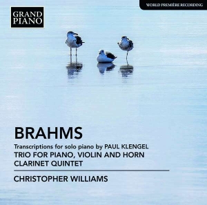 Brahms Johannes - Transcriptions For Solo Piano (By K ryhmässä ME SUOSITTELEMME / Joululahjavinkki: CD @ Bengans Skivbutik AB (2728299)