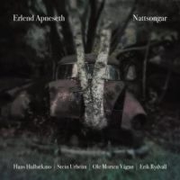 Apneseth Erlend - Nattsongar ryhmässä VINYYLI @ Bengans Skivbutik AB (2728640)