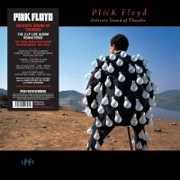 Pink Floyd - Delicate Sound Of Thunder ryhmässä Minishops / Pink Floyd @ Bengans Skivbutik AB (2799051)