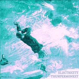 Thumpermonkey - Electricity ryhmässä CD @ Bengans Skivbutik AB (2813489)