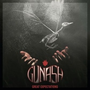 Gunash - Great Expectations ryhmässä VINYYLI @ Bengans Skivbutik AB (2822261)