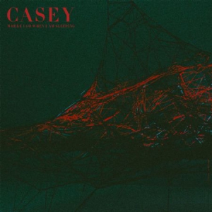 Casey - Where I Go When I Am Sleeping ryhmässä CD @ Bengans Skivbutik AB (3013992)