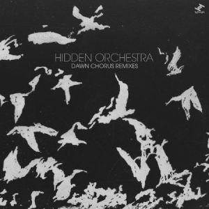 Hidden Orchestra - Dawn Chorus Remixes ryhmässä VINYYLI @ Bengans Skivbutik AB (3015836)