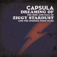 Capsula - Dreaming Of/ The Rise And Fall ryhmässä VINYYLI @ Bengans Skivbutik AB (3044194)