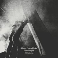 Alpaca Ensemble - Eirik Hegdal ryhmässä VINYYLI @ Bengans Skivbutik AB (3083087)