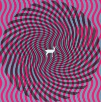 Deerhunter - Cryptograms ryhmässä VINYYLI @ Bengans Skivbutik AB (3096980)