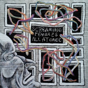 Screaming Females - All At Once ryhmässä CD @ Bengans Skivbutik AB (3110090)