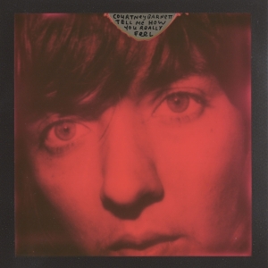 Courtney Barnett - Tell Me How You Really Feel ryhmässä Minishops / Courtney Barnett @ Bengans Skivbutik AB (3113618)