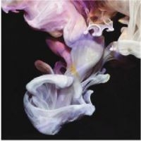 Simian Mobile Disco - Murmurations ryhmässä CD @ Bengans Skivbutik AB (3115867)