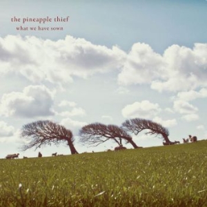 Pineapple Thief - What We Have Sown ryhmässä Minishops / The Pineapple Thief @ Bengans Skivbutik AB (3126077)