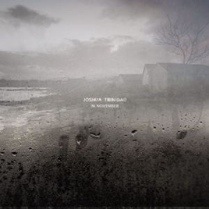 Trinidad Joshua - In November ryhmässä VINYYLI @ Bengans Skivbutik AB (3127041)