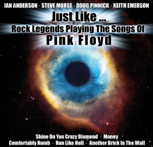 Various Artists - Just Like...Rock Legends Play Pink ryhmässä CD @ Bengans Skivbutik AB (3178314)