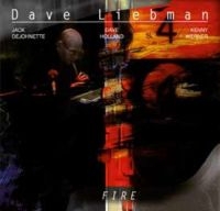 Liebman Dave - Fire ryhmässä CD @ Bengans Skivbutik AB (3178316)