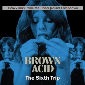 Various Artists - Brown Acid - The Sixth Trip ryhmässä CD @ Bengans Skivbutik AB (3179933)