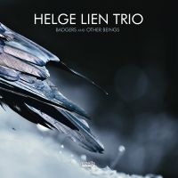 Lien Helge (Trio) - Badgers And Other Beings ryhmässä CD @ Bengans Skivbutik AB (3186714)