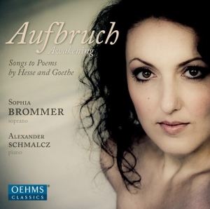 Brommer - Aufbruch ryhmässä ME SUOSITTELEMME / Joululahjavinkki: CD @ Bengans Skivbutik AB (3187151)