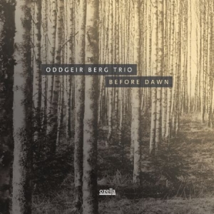 Berg Oddgeir (Trio) - Before Dawn ryhmässä VINYYLI @ Bengans Skivbutik AB (3208017)