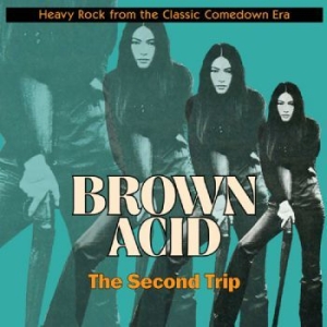 Various Artists - Brown Acid - The Second Trip ryhmässä CD @ Bengans Skivbutik AB (3208349)