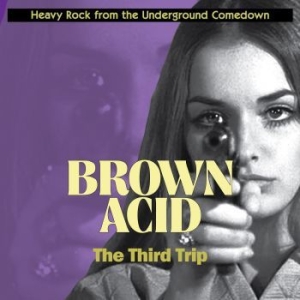 Various Artists - Brown Acid - The Third Trip ryhmässä CD @ Bengans Skivbutik AB (3208350)