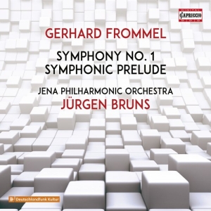 Frommel Gerhard - Symphony No. 1 ryhmässä ME SUOSITTELEMME / Joululahjavinkki: CD @ Bengans Skivbutik AB (3208398)