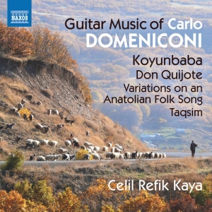 Domeniconi Carlo - Guitar Music ryhmässä ME SUOSITTELEMME / Joululahjavinkki: CD @ Bengans Skivbutik AB (3208490)