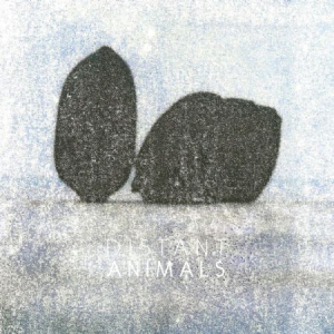 Distant Animals - Lines ryhmässä VINYYLI @ Bengans Skivbutik AB (3212029)