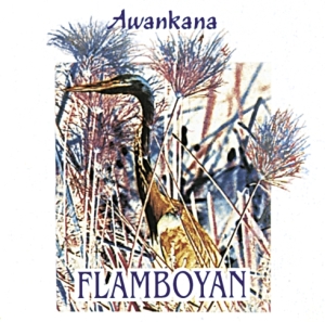 Awankana - Flamboyan ryhmässä CD @ Bengans Skivbutik AB (3218431)