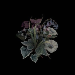 Nhor - Wildflowers (2 Lp Black Vinyl) ryhmässä VINYYLI @ Bengans Skivbutik AB (3224204)