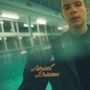 Rex Orange County - Apricot Princess (Orange Vinyl) ryhmässä Minishops / Rex Orange County @ Bengans Skivbutik AB (3226628)