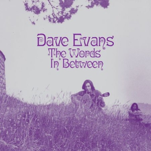 Evans Dave - Words Inbetween ryhmässä VINYYLI @ Bengans Skivbutik AB (3227576)