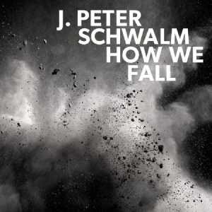 Schwalm J.Peter - How We Fall ryhmässä VINYYLI @ Bengans Skivbutik AB (3227679)