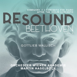 Beethoven Ludwig Van - Resound Beethoven, Vol. 6: Symphony ryhmässä ME SUOSITTELEMME / Joululahjavinkki: CD @ Bengans Skivbutik AB (3231047)