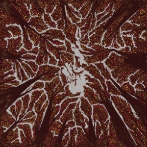 Trash Boat - Crown Shyness ryhmässä CD @ Bengans Skivbutik AB (3249013)