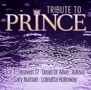 Various Artists - Tribute To Prince ryhmässä ME SUOSITTELEMME / Joululahjavinkki: CD @ Bengans Skivbutik AB (3250540)