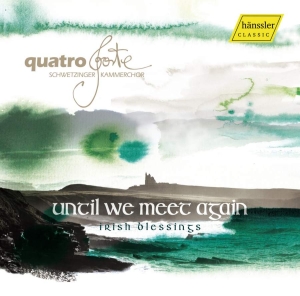 Various - Until We Meet Again: Irish Blessing ryhmässä CD @ Bengans Skivbutik AB (3265329)