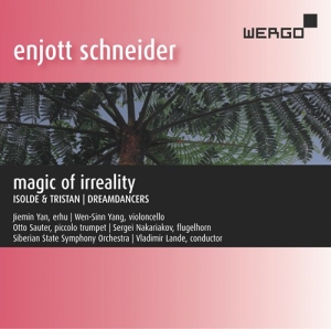 Schneider Enjott - Magic Of Irreality ryhmässä ME SUOSITTELEMME / Joululahjavinkki: CD @ Bengans Skivbutik AB (3266800)