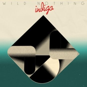 Wild nothing - Indigo ryhmässä CD @ Bengans Skivbutik AB (3266977)