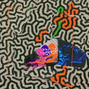 Animal Collective - Tangerine Reef (Coloured Vinyl) ryhmässä VINYYLI @ Bengans Skivbutik AB (3299019)