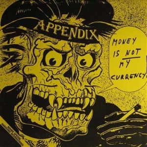 Appendix - Money Is Not My Currency (Raha Ei O ryhmässä VINYYLI @ Bengans Skivbutik AB (3304463)