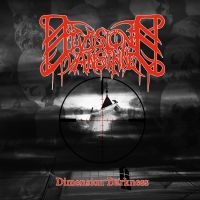 Division Vansinne - Dimension Darkness ryhmässä CD @ Bengans Skivbutik AB (3308079)