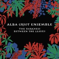 Alba Griot Ensemble - Darkness Between The Leaves ryhmässä CD @ Bengans Skivbutik AB (3309439)